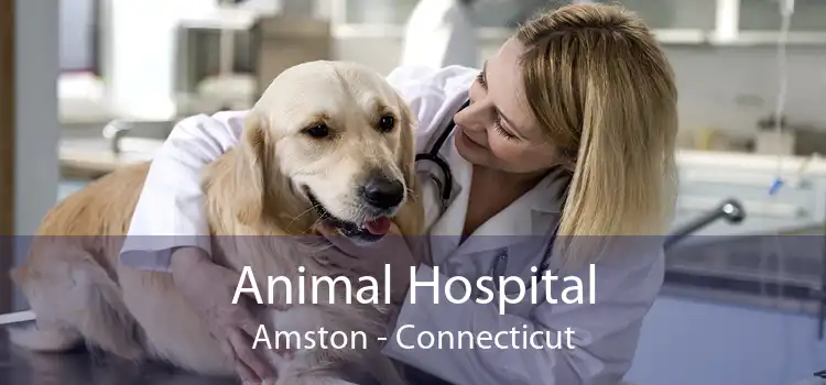 Animal Hospital Amston - Connecticut