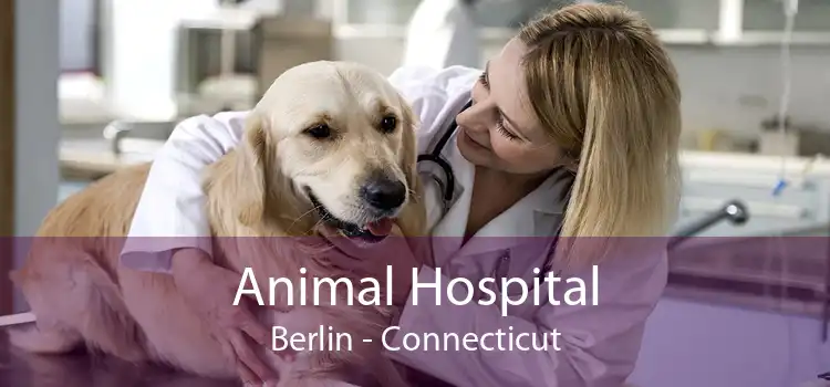 Animal Hospital Berlin - Connecticut