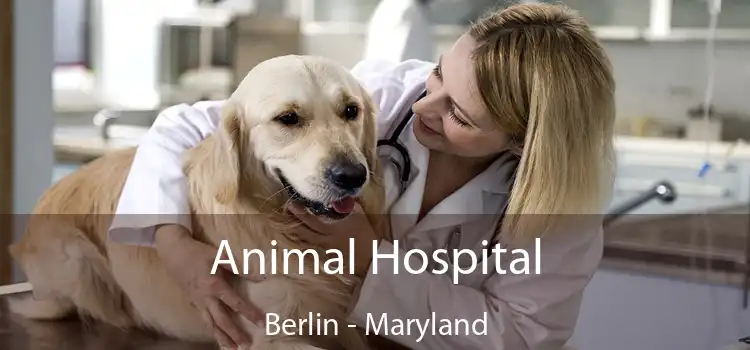Animal Hospital Berlin - Maryland