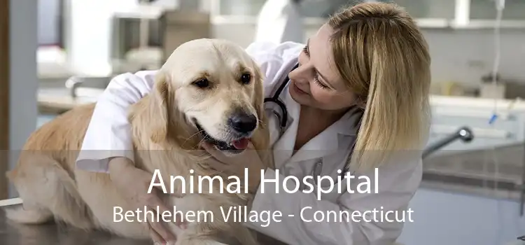 Animal Hospital Bethlehem Village - Connecticut