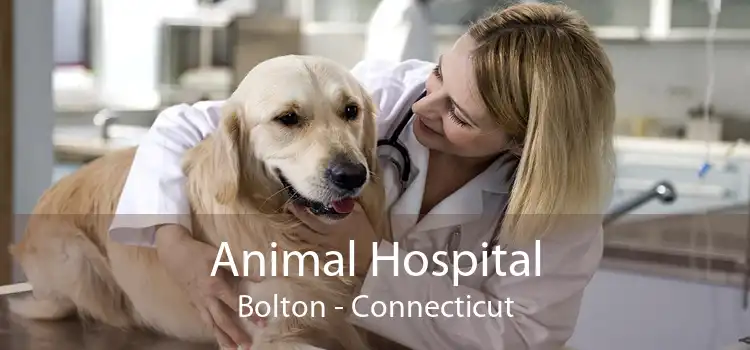 Animal Hospital Bolton - Connecticut