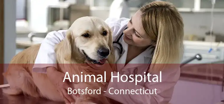 Animal Hospital Botsford - Connecticut