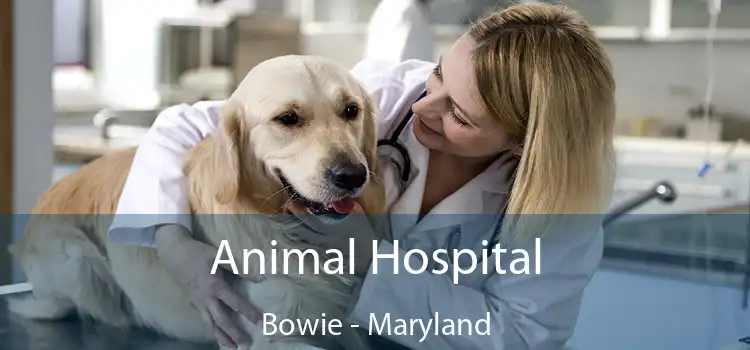 Animal Hospital Bowie - Maryland