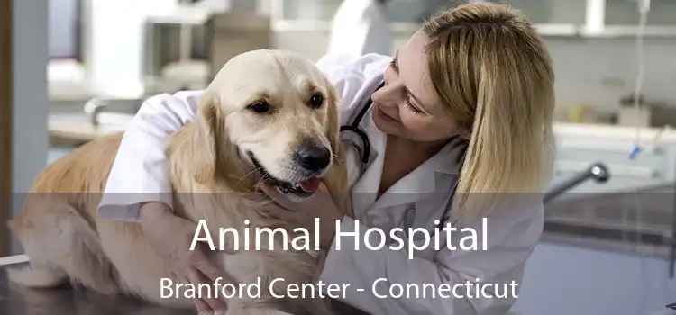 Animal Hospital Branford Center - Connecticut