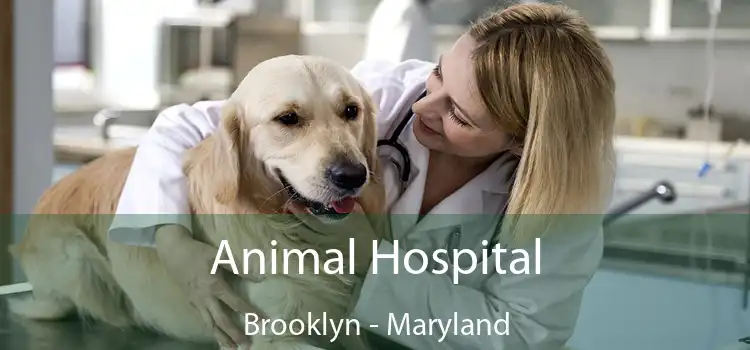 Animal Hospital Brooklyn - Maryland