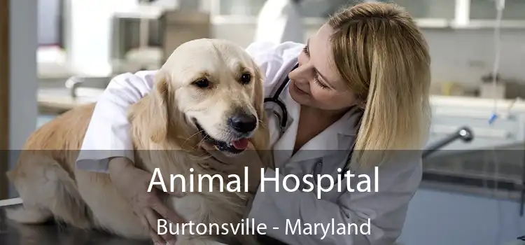 Animal Hospital Burtonsville - Maryland