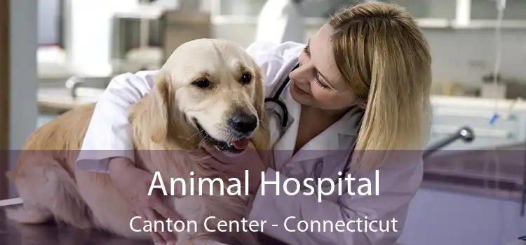 Animal Hospital Canton Center - Connecticut