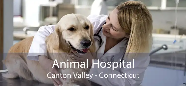 Animal Hospital Canton Valley - Connecticut