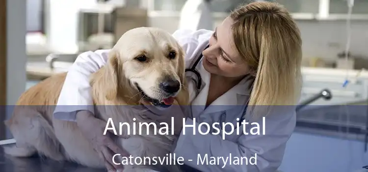 Animal Hospital Catonsville - Maryland