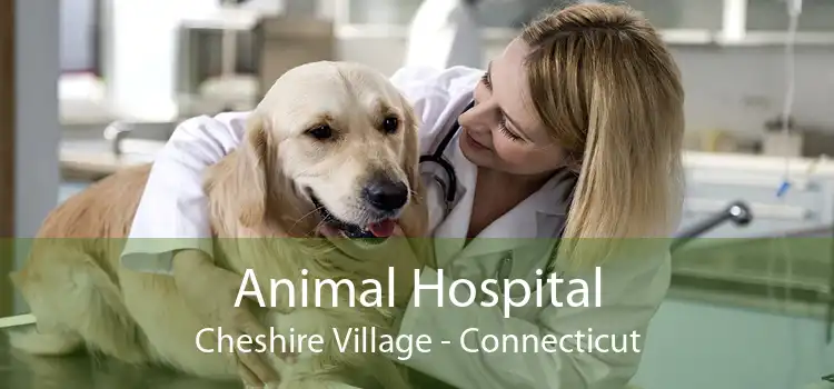 Animal Hospital Cheshire Village - Connecticut