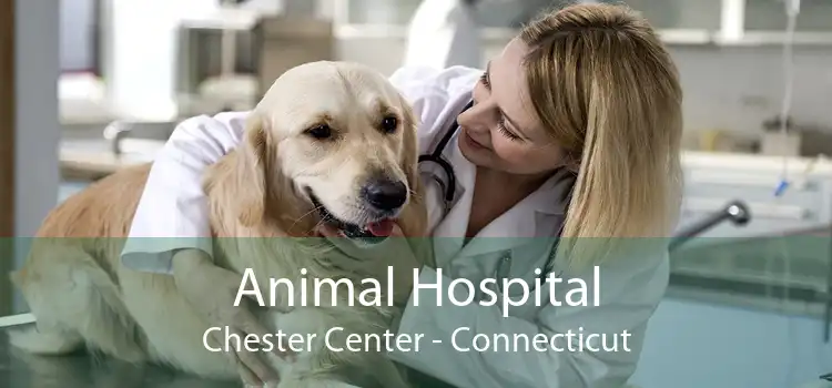 Animal Hospital Chester Center - Connecticut