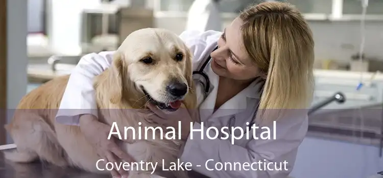 Animal Hospital Coventry Lake - Connecticut