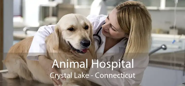 Animal Hospital Crystal Lake - Connecticut