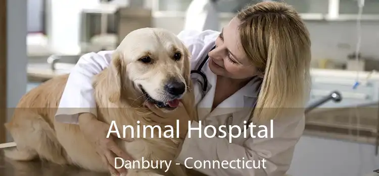 Animal Hospital Danbury - Connecticut