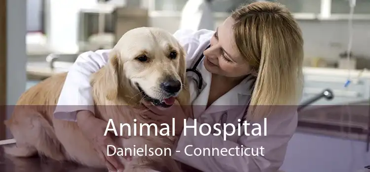 Animal Hospital Danielson - Connecticut