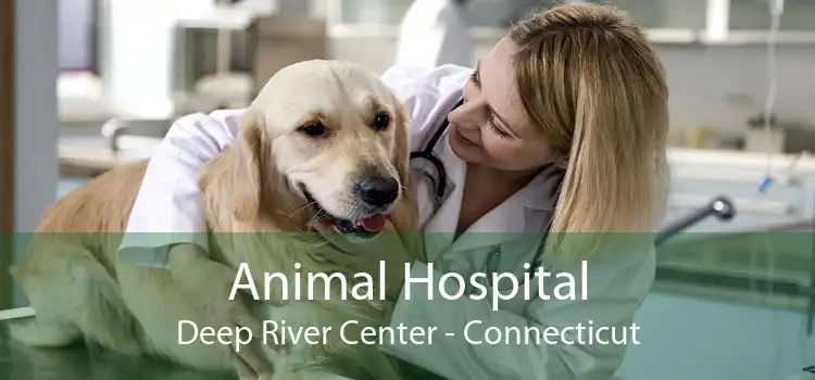 Animal Hospital Deep River Center - Connecticut