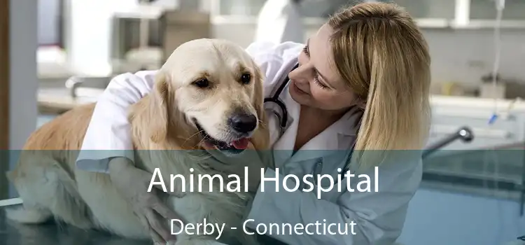 Animal Hospital Derby - Connecticut