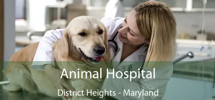 Animal Hospital District Heights - Maryland