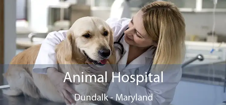 Animal Hospital Dundalk - Maryland