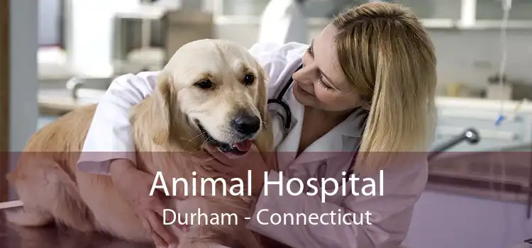 Animal Hospital Durham - Connecticut