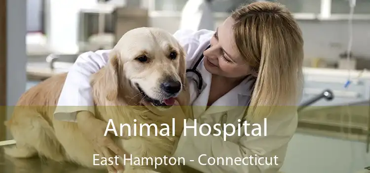 Animal Hospital East Hampton - Connecticut