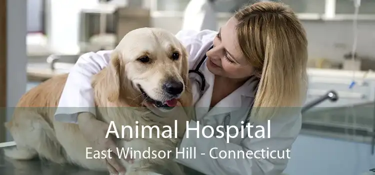 Animal Hospital East Windsor Hill - Connecticut