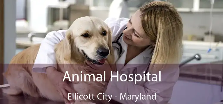 Animal Hospital Ellicott City - Maryland