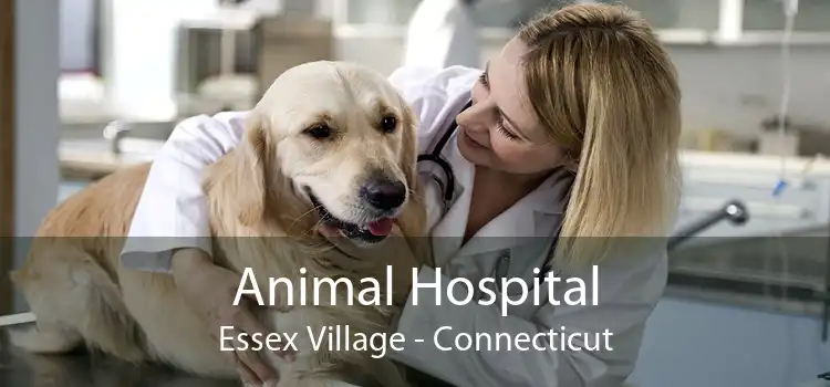 Animal Hospital Essex Village - Connecticut