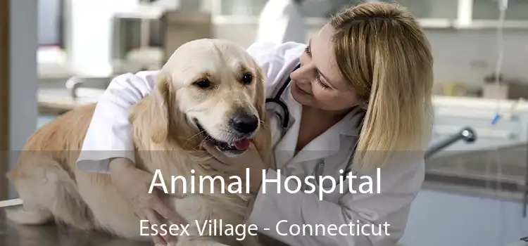 Animal Hospital Essex Village - Connecticut