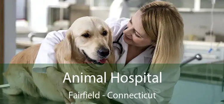 Animal Hospital Fairfield - Connecticut