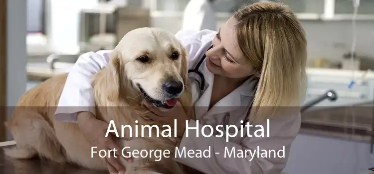 Animal Hospital Fort George Mead - Maryland