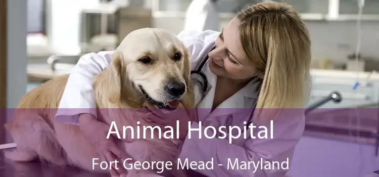Animal Hospital Fort George Mead - Maryland