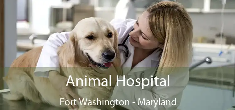 Animal Hospital Fort Washington - Maryland