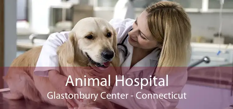 Animal Hospital Glastonbury Center - Connecticut