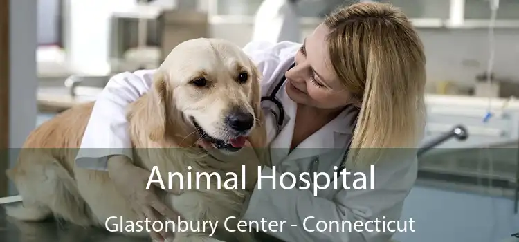 Animal Hospital Glastonbury Center - Connecticut