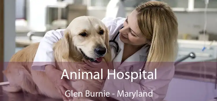 Animal Hospital Glen Burnie - Maryland
