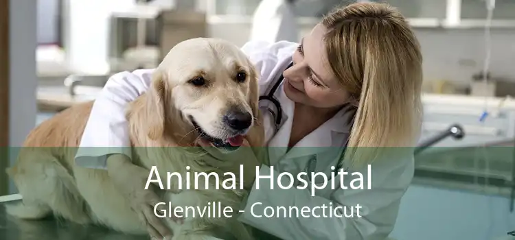 Animal Hospital Glenville - Connecticut