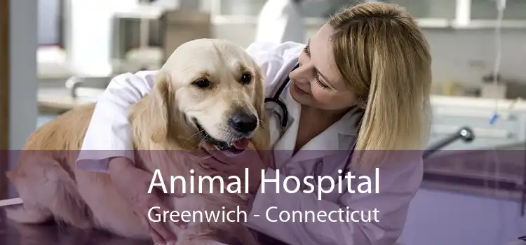 Animal Hospital Greenwich - Connecticut