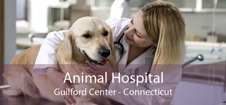 Animal Hospital Guilford Center - Connecticut
