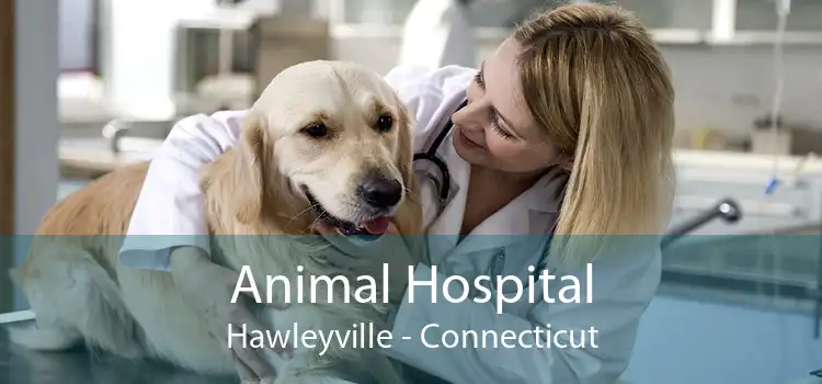Animal Hospital Hawleyville - Connecticut