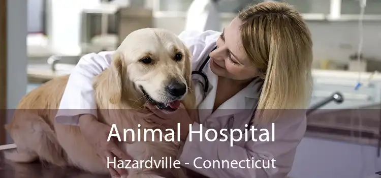 Animal Hospital Hazardville - Connecticut