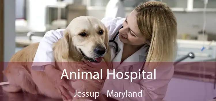 Animal Hospital Jessup - Maryland