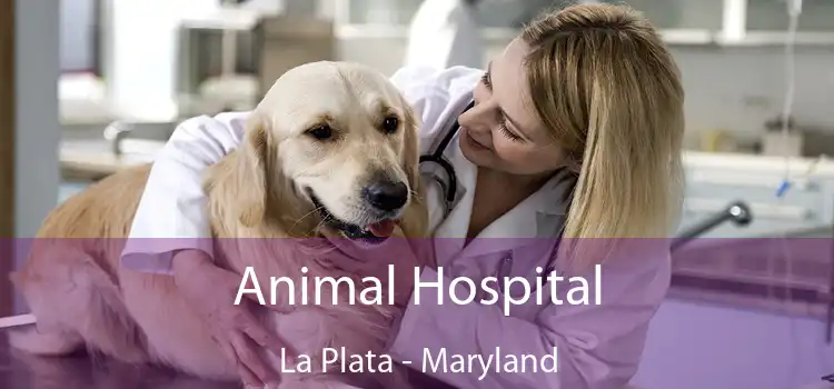 Animal Hospital La Plata - Maryland