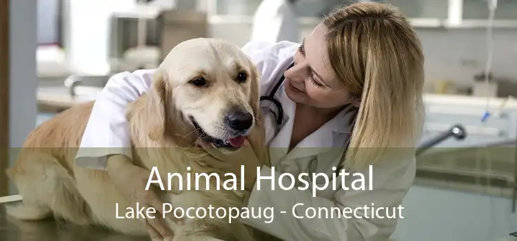 Animal Hospital Lake Pocotopaug - Connecticut