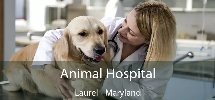 Animal Hospital Laurel - Maryland