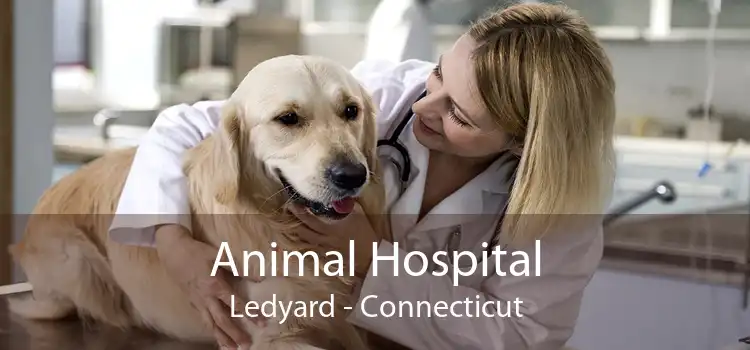 Animal Hospital Ledyard - Connecticut