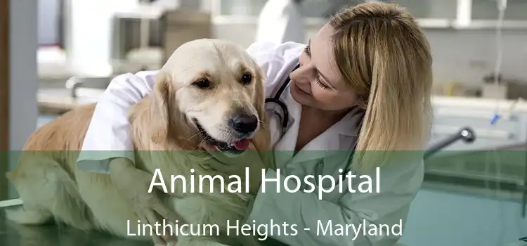 Animal Hospital Linthicum Heights - Maryland