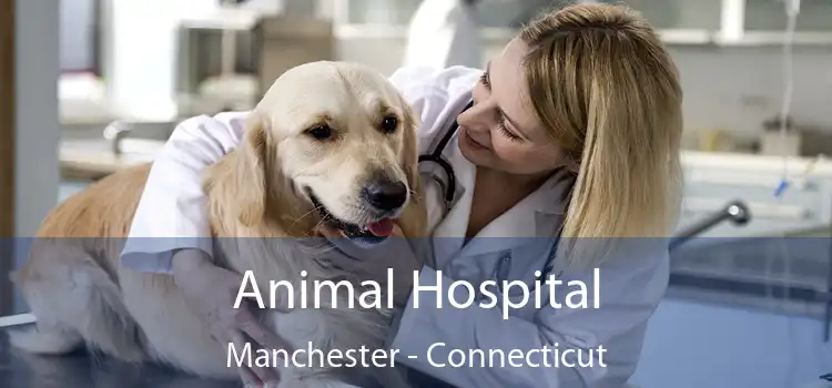 Animal Hospital Manchester - Connecticut