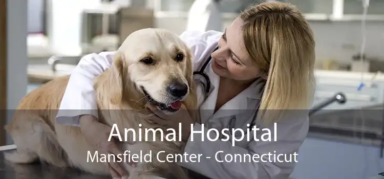 Animal Hospital Mansfield Center - Connecticut