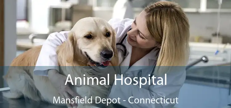 Animal Hospital Mansfield Depot - Connecticut